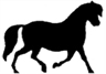 Czarna sylwetka konia przedstawiona z boku z prawej strony o dwóch nogach uniesionych