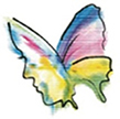 Wielokolorowy rysunek motyla, którego lewe skrzydło jest profilem kobiecej twarzy